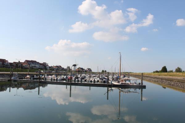 Holiday Cottage With Sauna In Zeeland Stavenisse Dış mekan fotoğraf